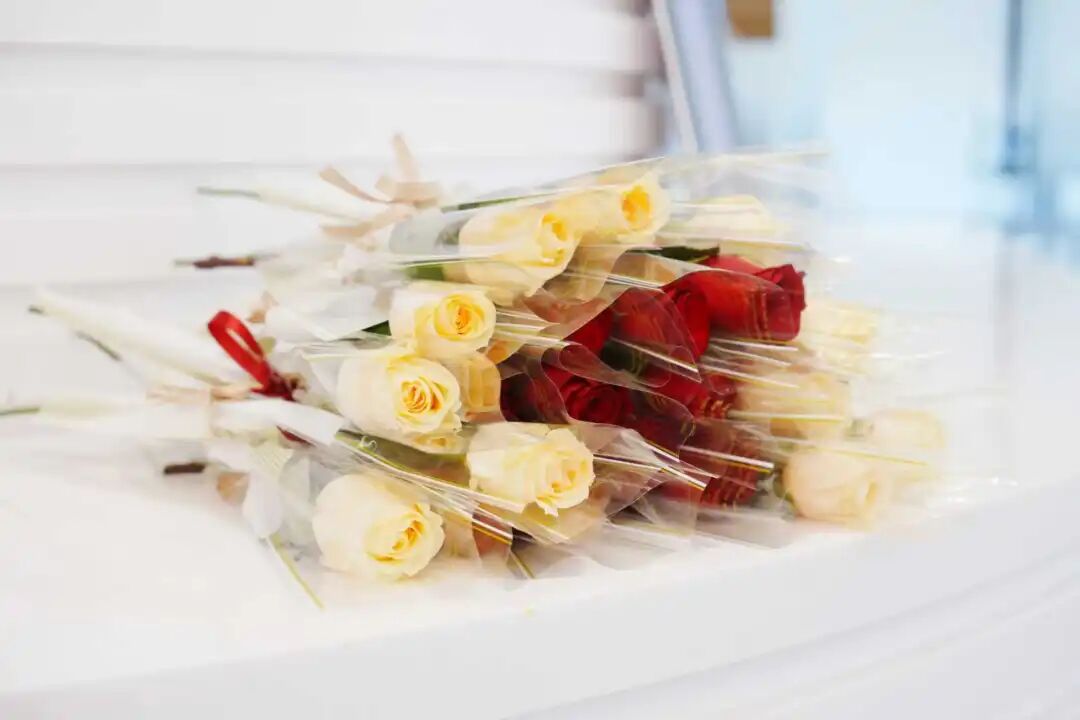 1773044946826339.jpg 640.jpg