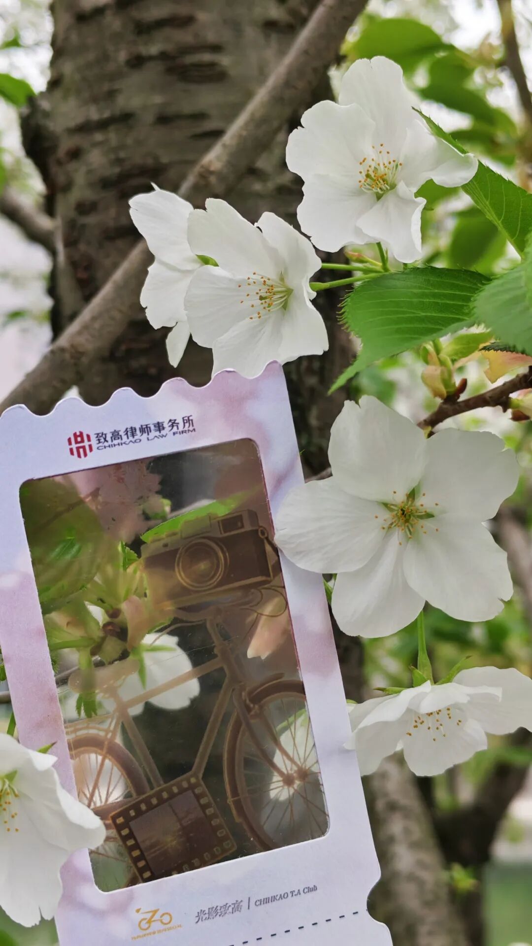 1774406645141273.jpg 18.jpg